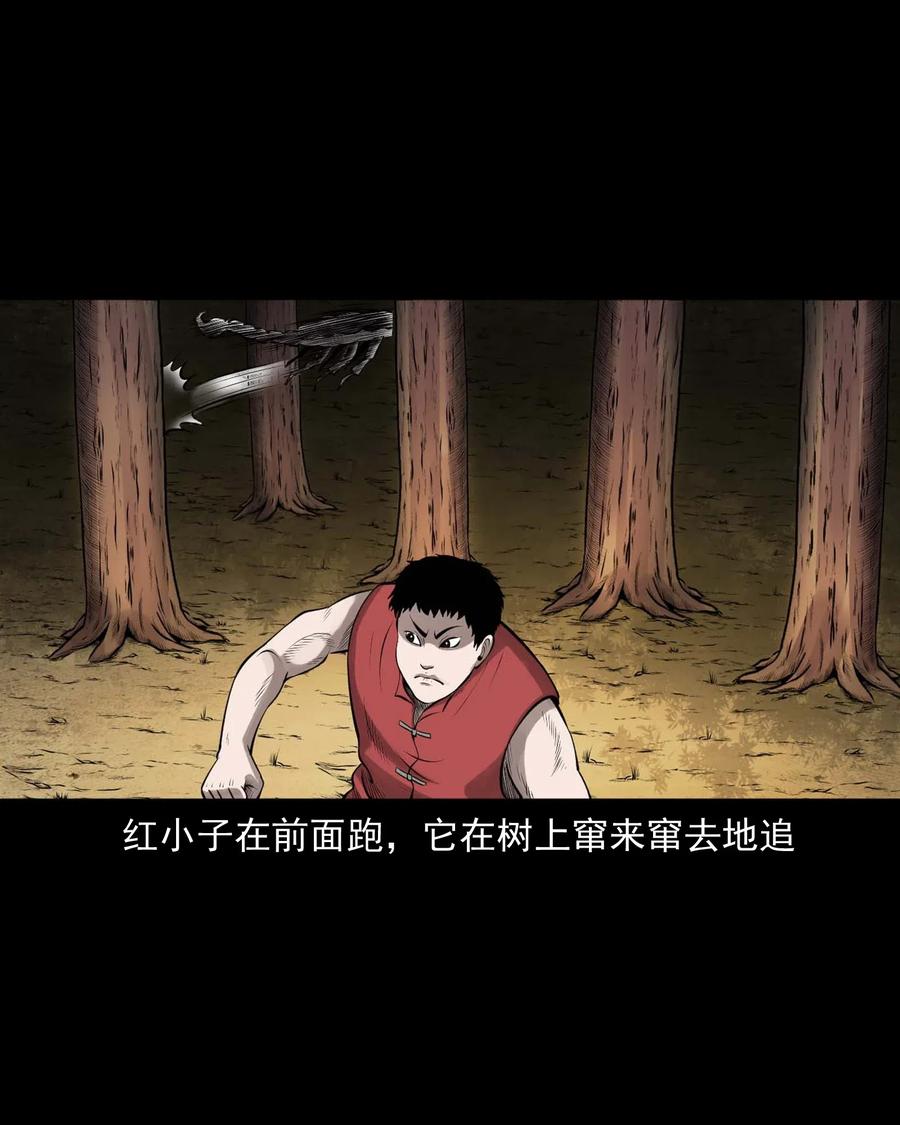 455 老烟鬼6619