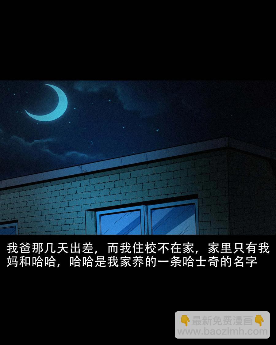 574 深夜访客2