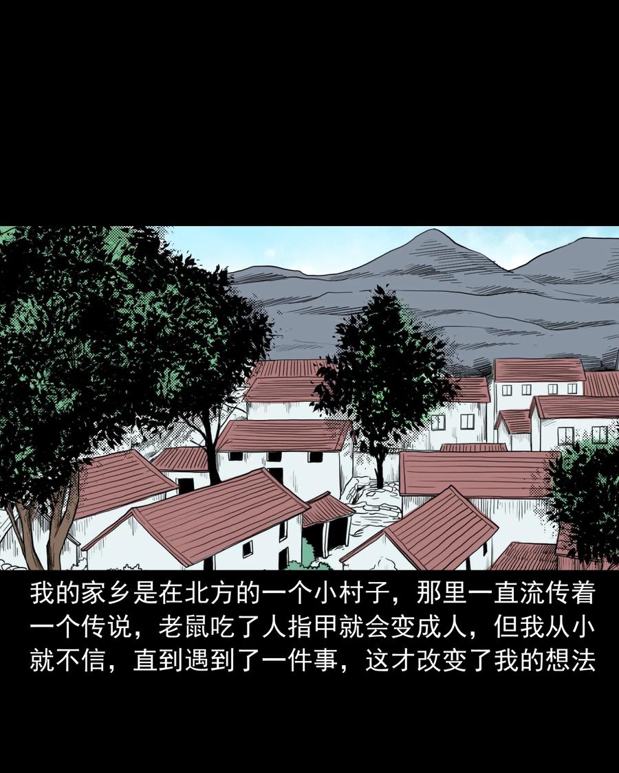 282 老鼠成仙1