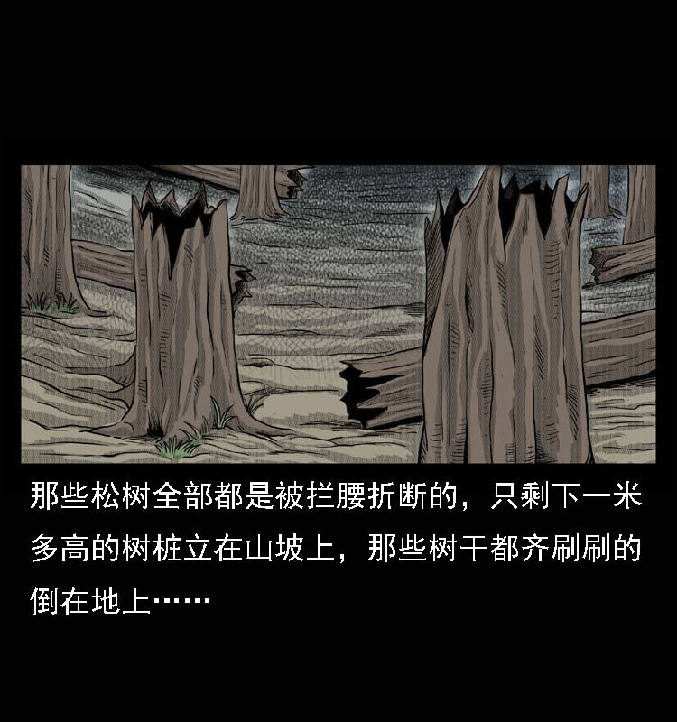 15 空中怪车事件53