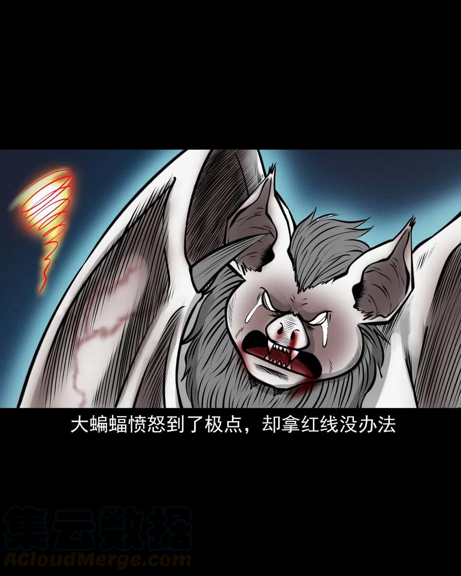 494 老烟鬼8557