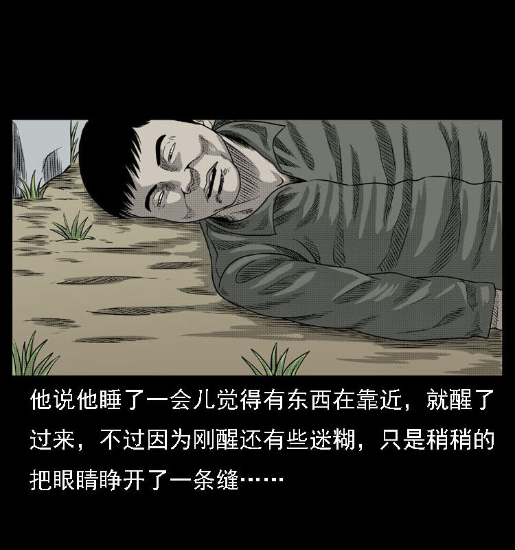 18 寄生物21