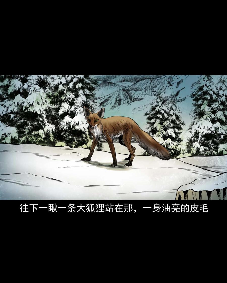 545 狐狸围脖7