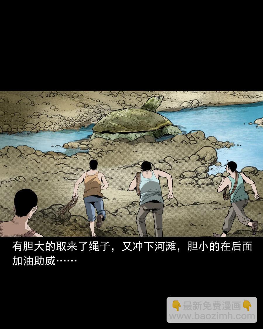 493 大王八13