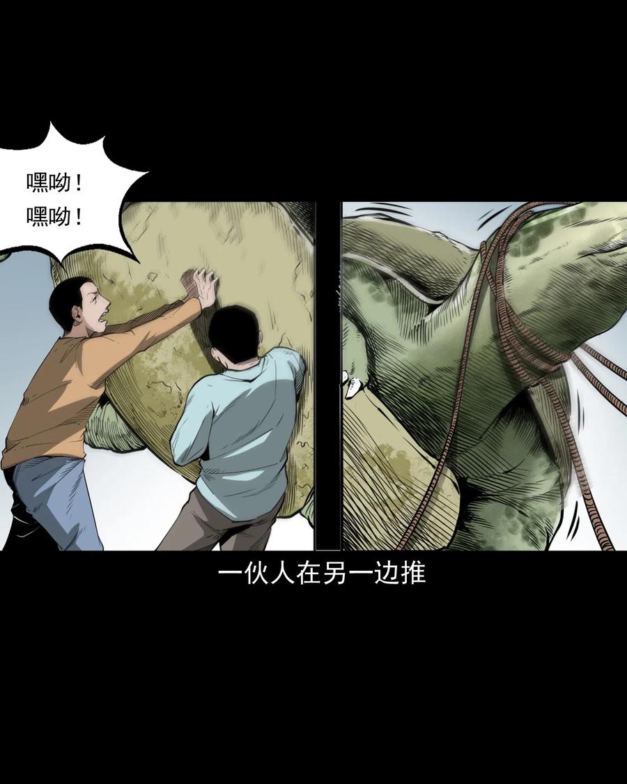 493 大王八20