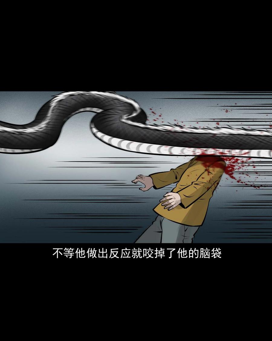 538 老烟鬼10673