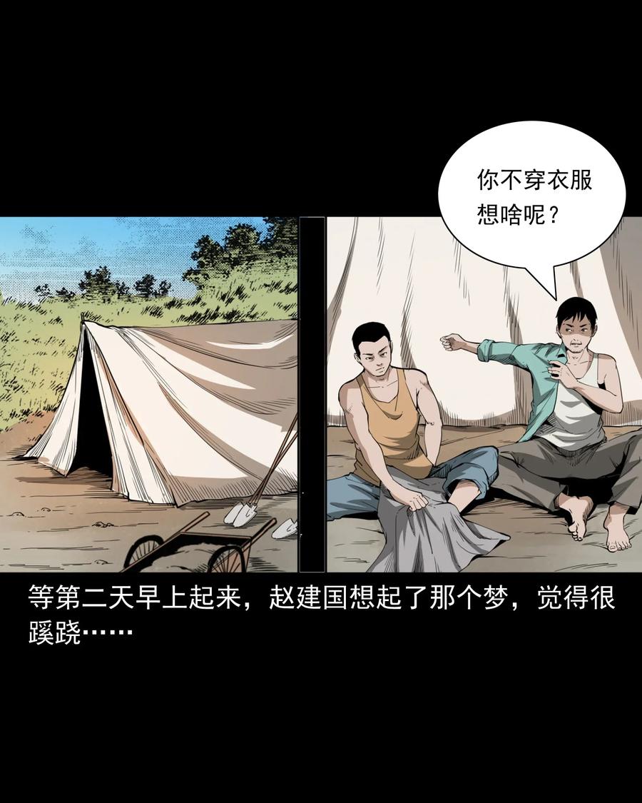 493 大王八29
