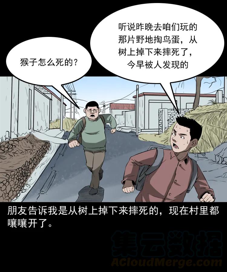 341 本命年撞煞88