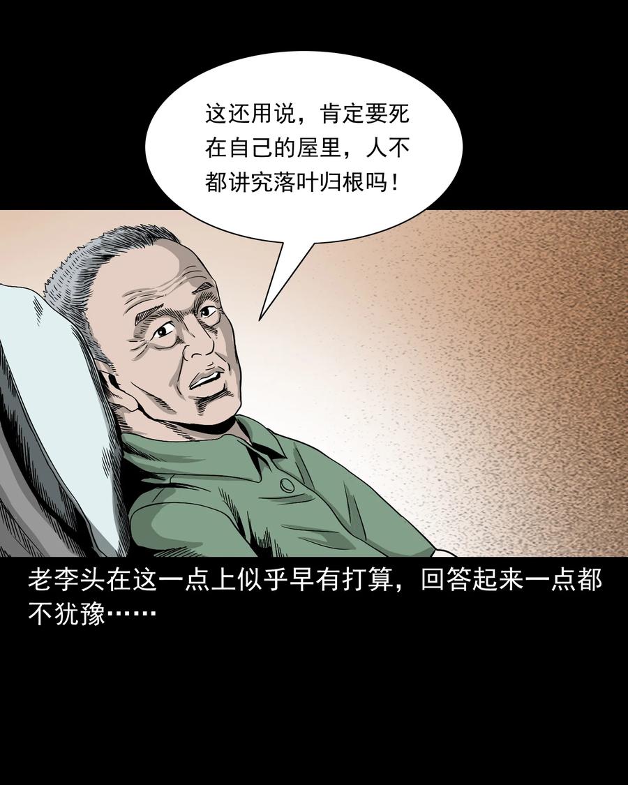 388 叶落归根17