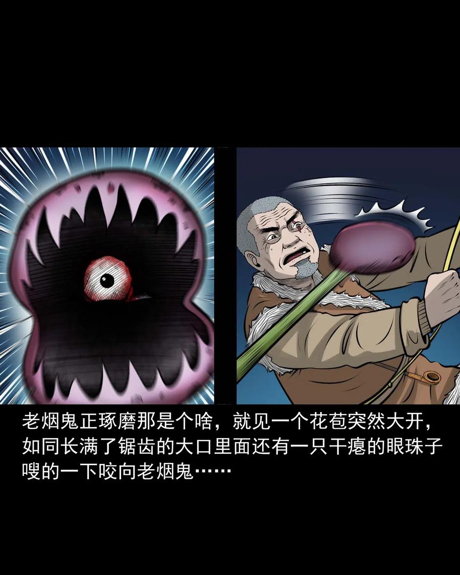 494 老烟鬼8511