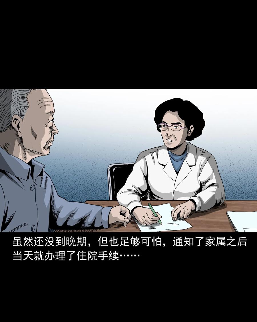 388 叶落归根2