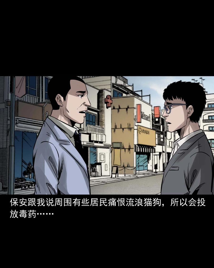 539 犬灵35