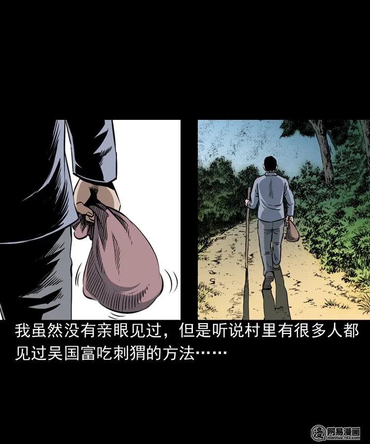 168 刺猬11