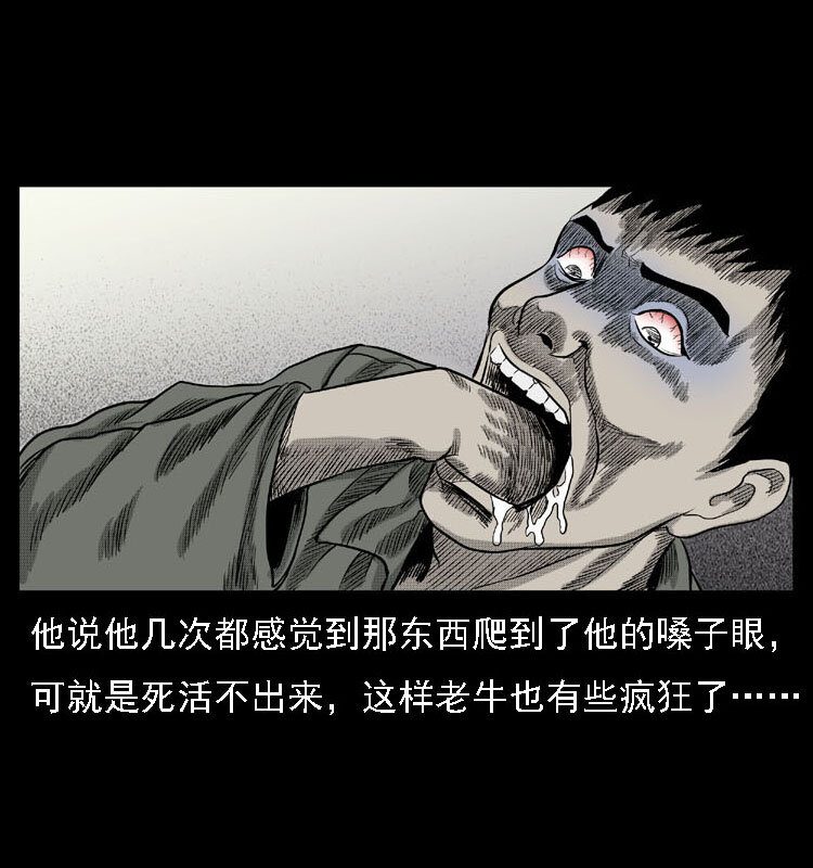 18 寄生物34