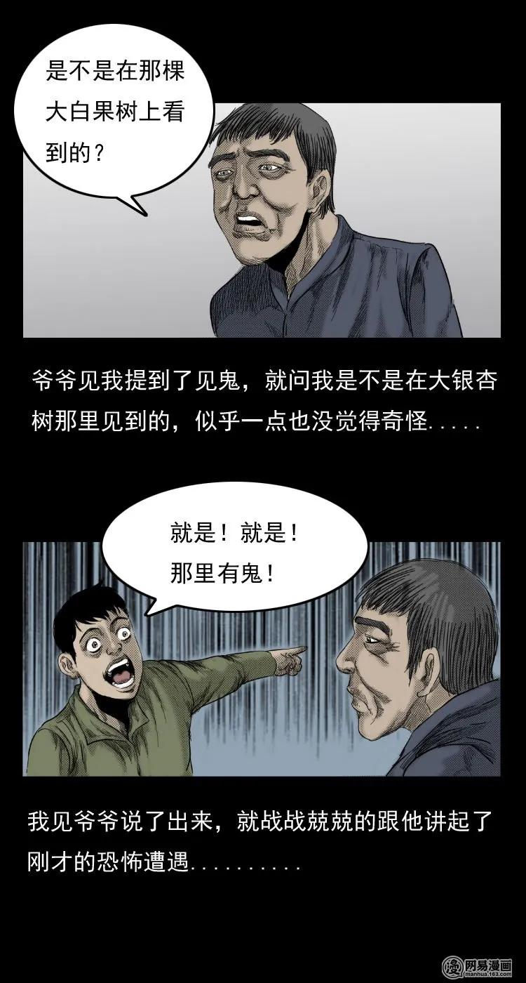29 古树5