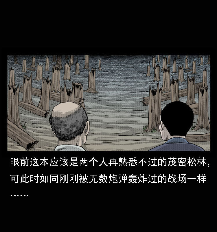 15 空中怪车事件52
