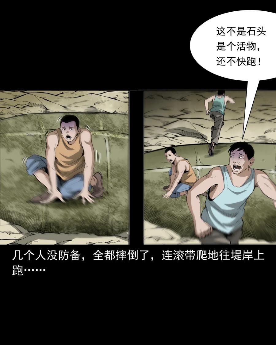 493 大王八8