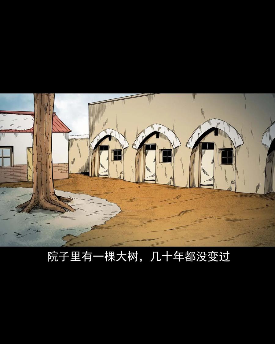519 死亡征兆14