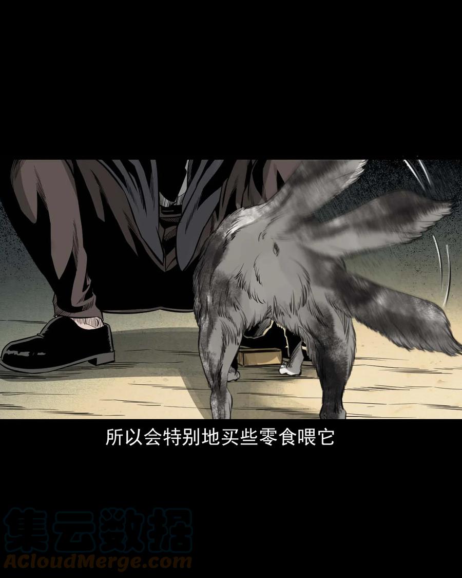 539 犬灵8