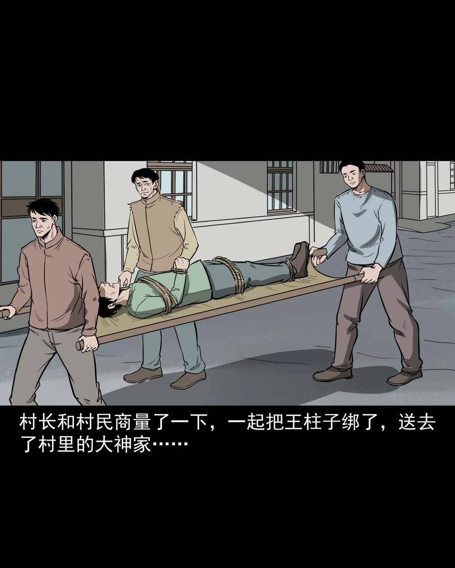 313 疯病30