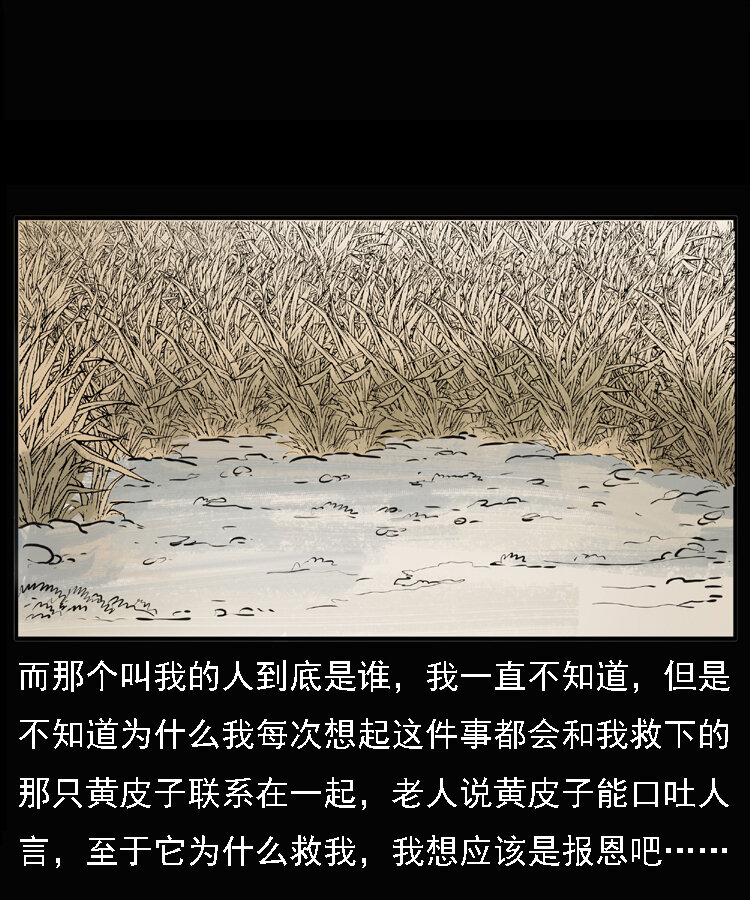 22 黄皮子报恩56