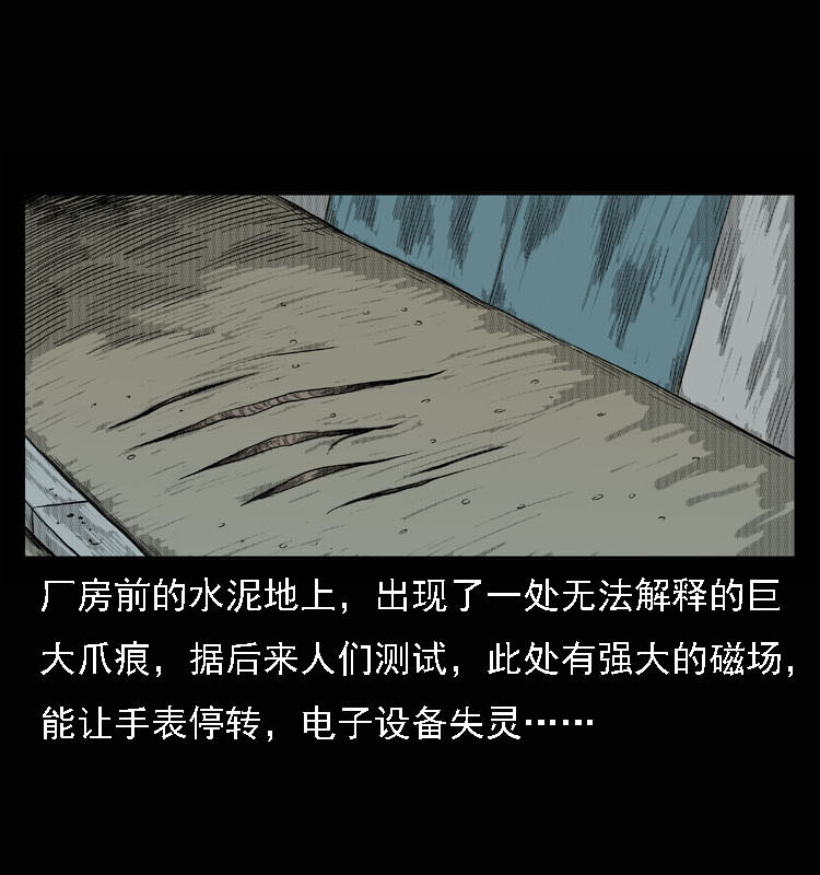 15 空中怪车事件66