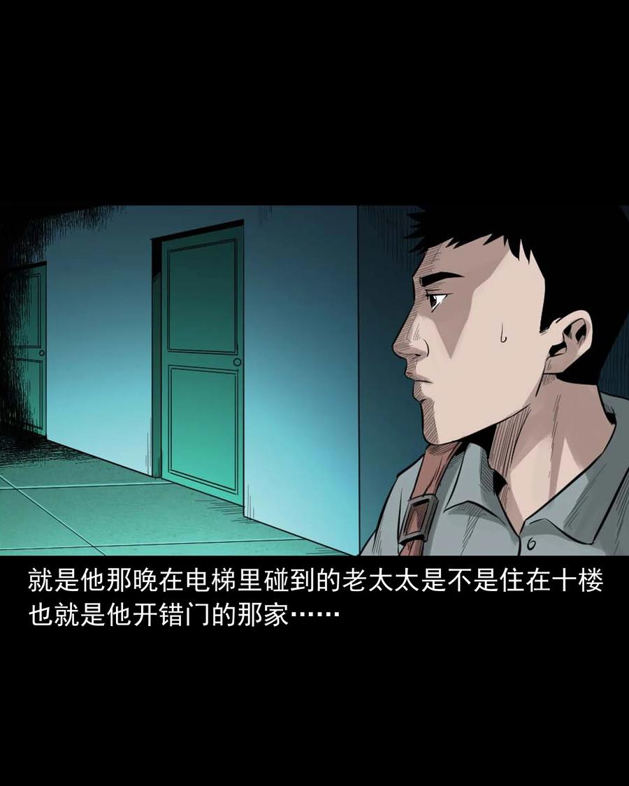 511 猫看见了什么43