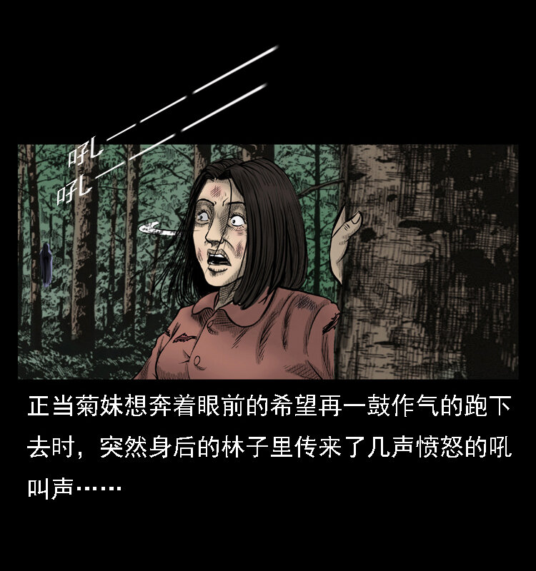 16 神农架野人56