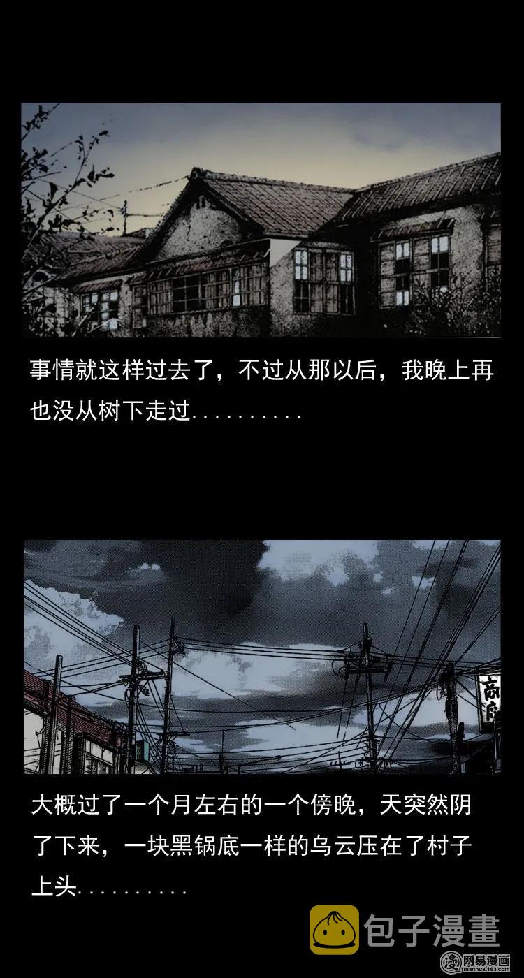 29 古树17