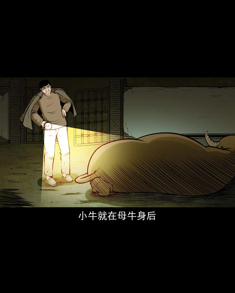 518 老烟鬼9517