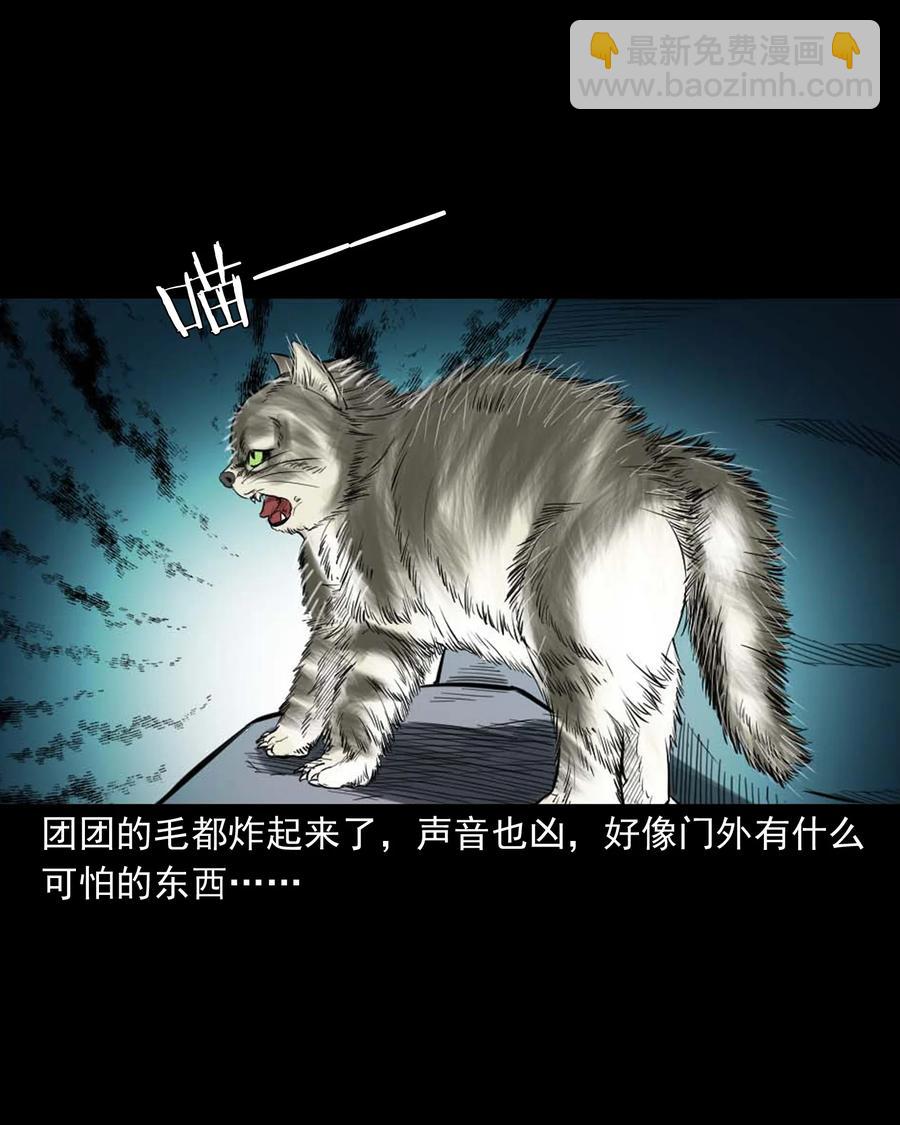 511 猫看见了什么13