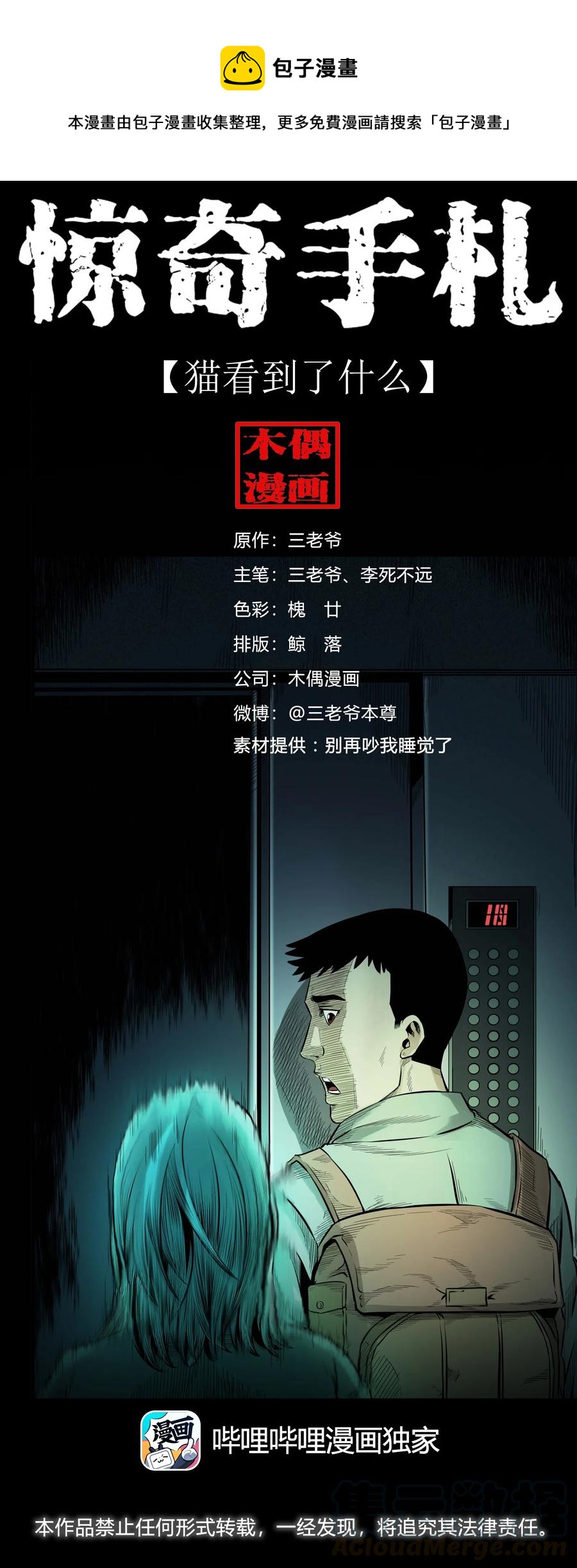 511 猫看见了什么0
