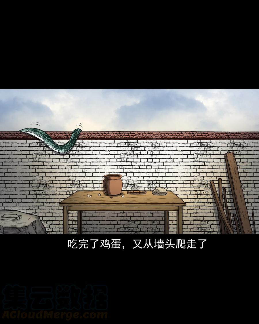 357 老烟鬼（十七）24