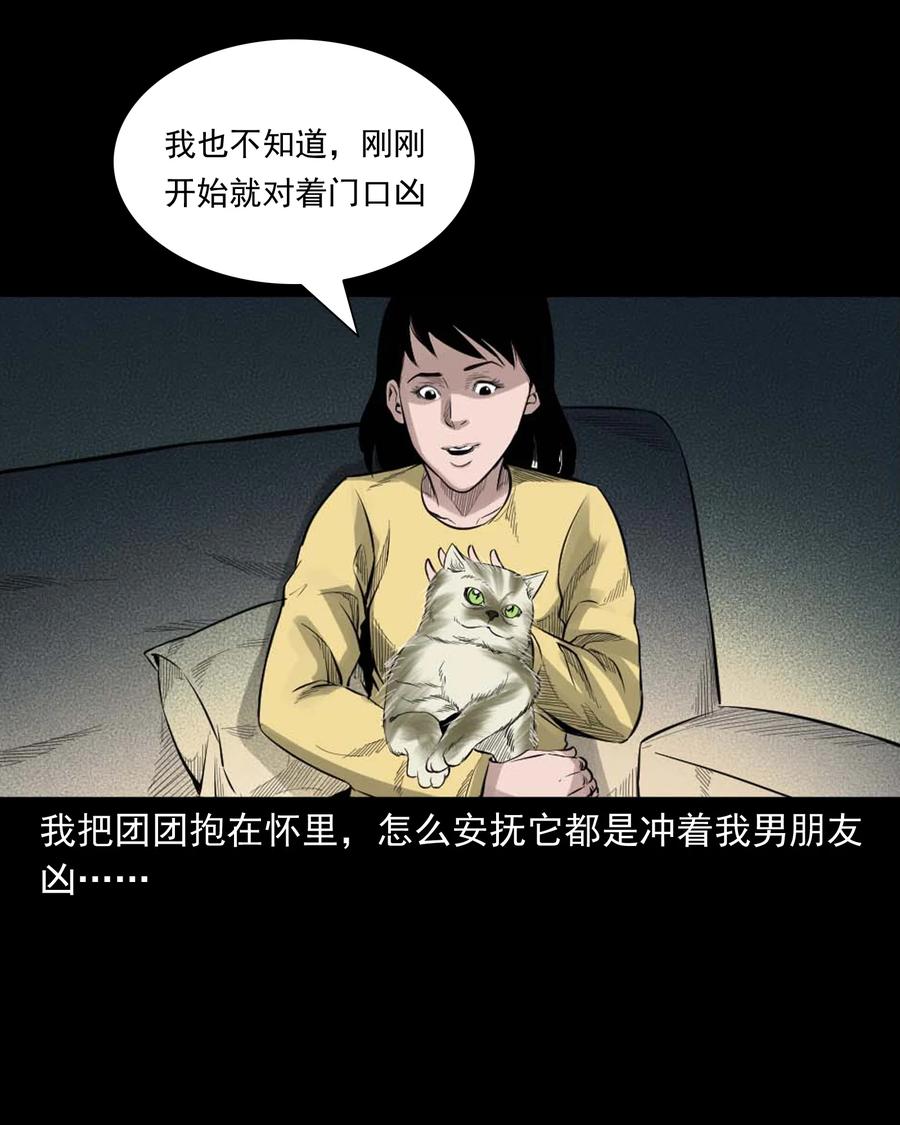 511 猫看见了什么17
