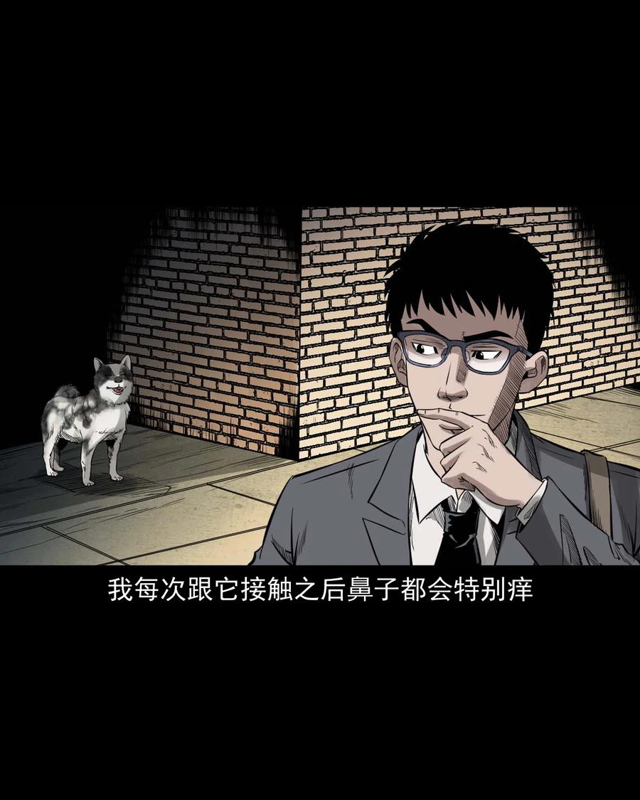 539 犬灵11