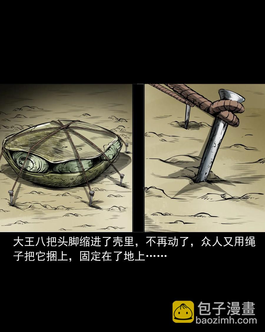 493 大王八22