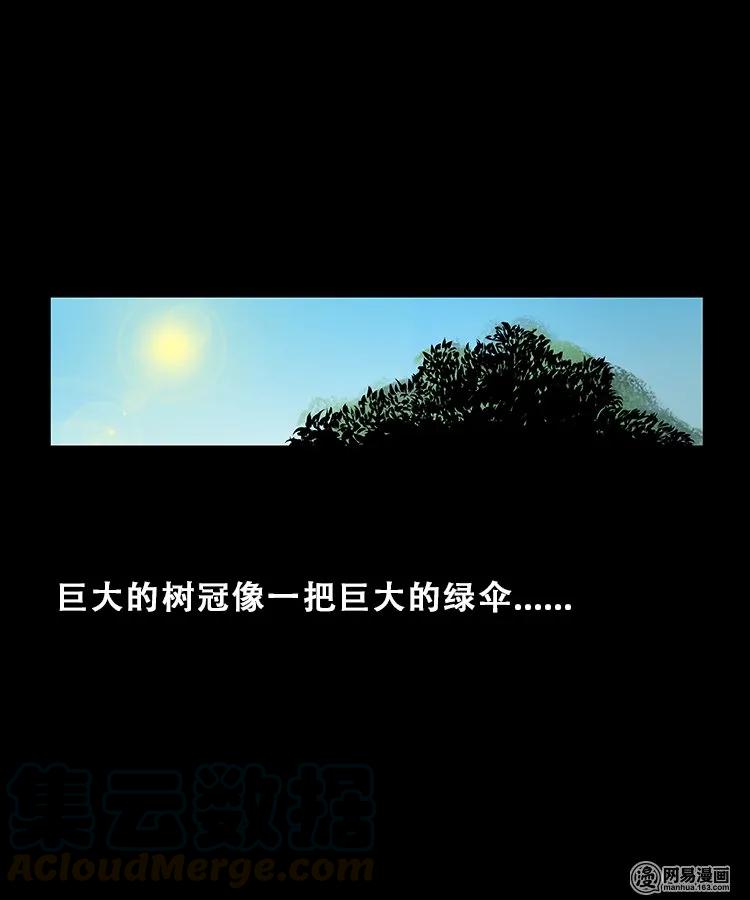 104 邪树3