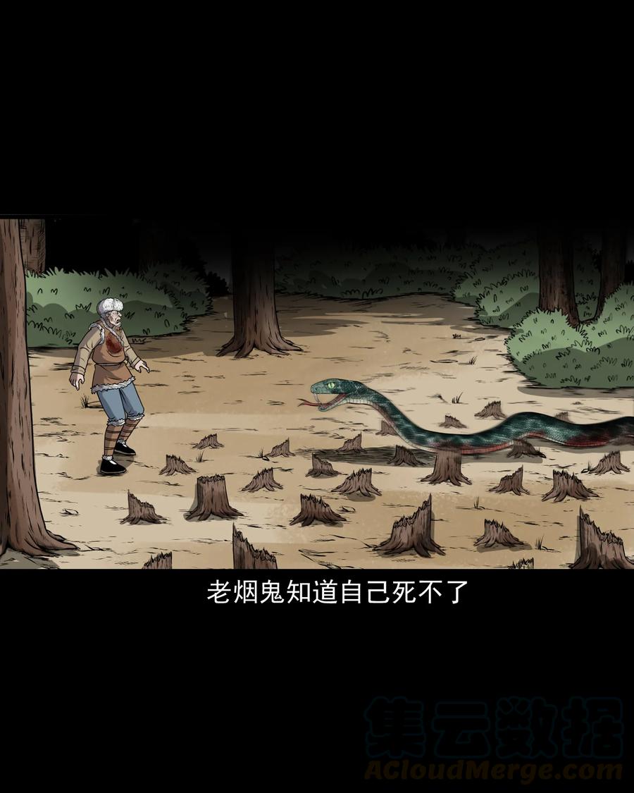 359 老烟鬼（十八）24