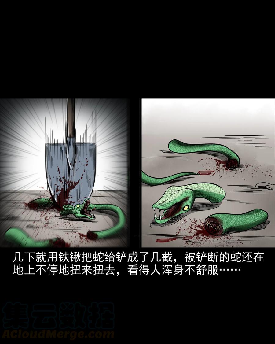 291 蛇祸20