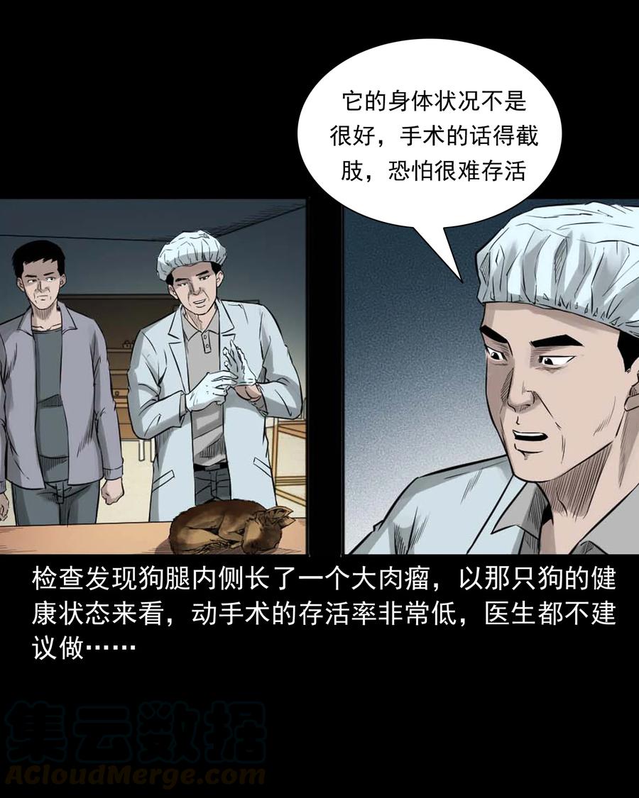 509 狗命24