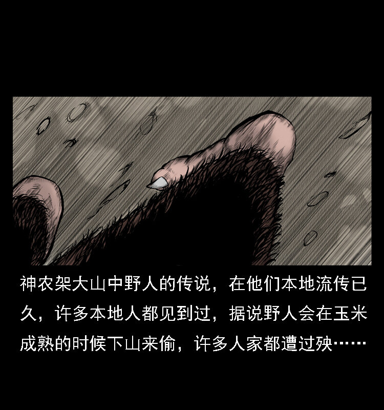 16 神农架野人21