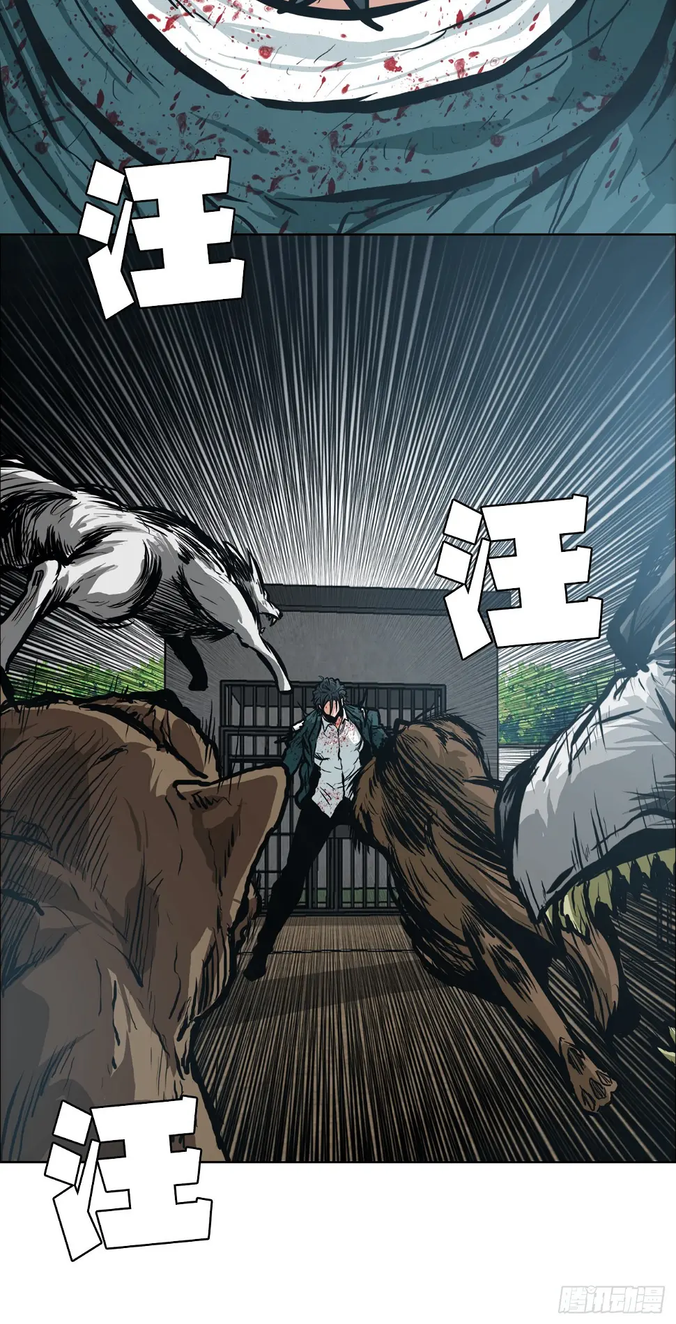 134.斗狗场41