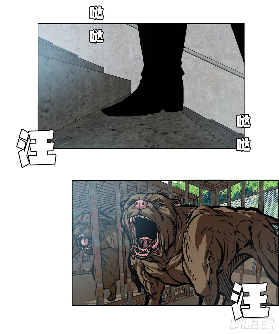 134.斗狗场34