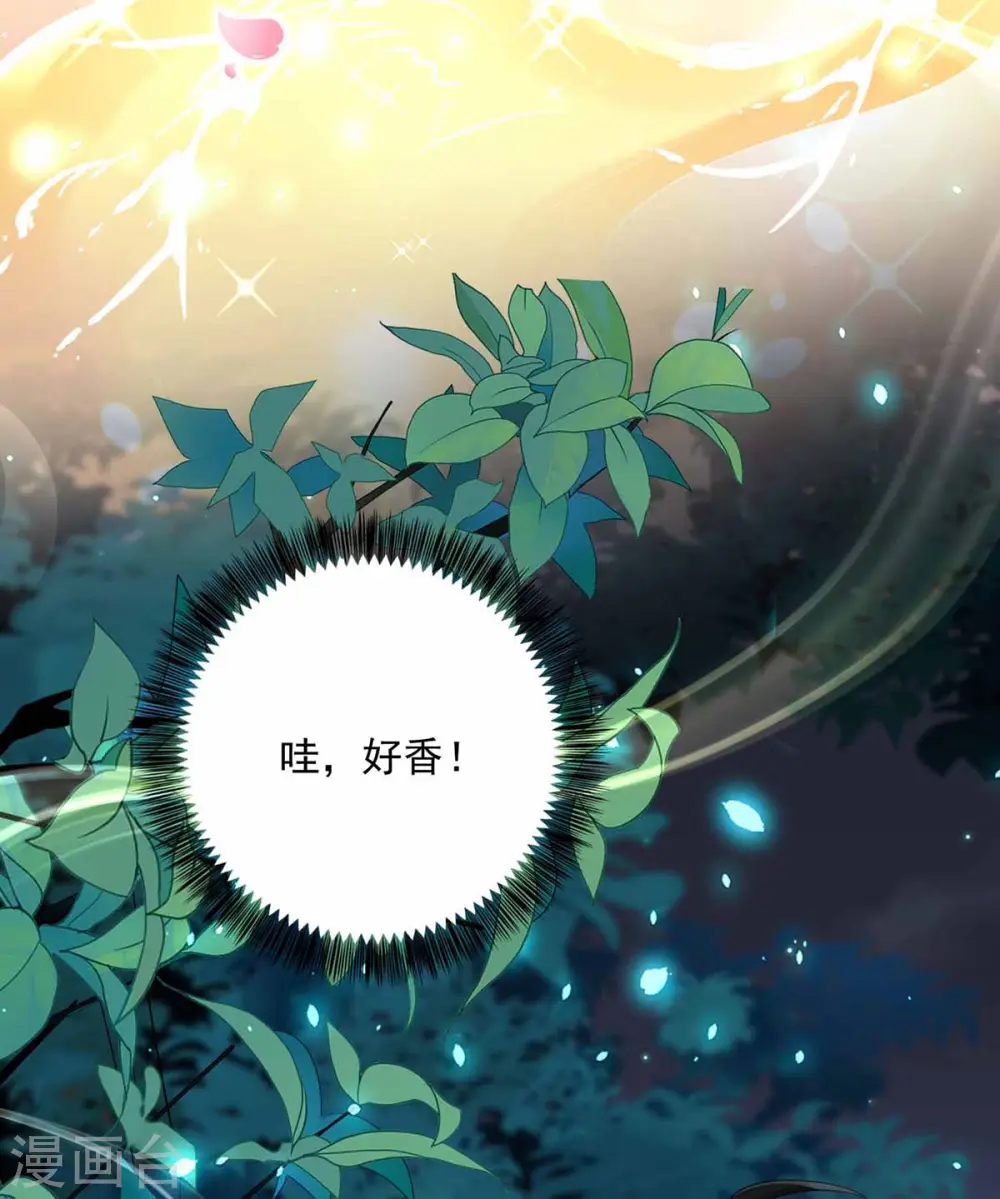 第78话 选夫标准7
