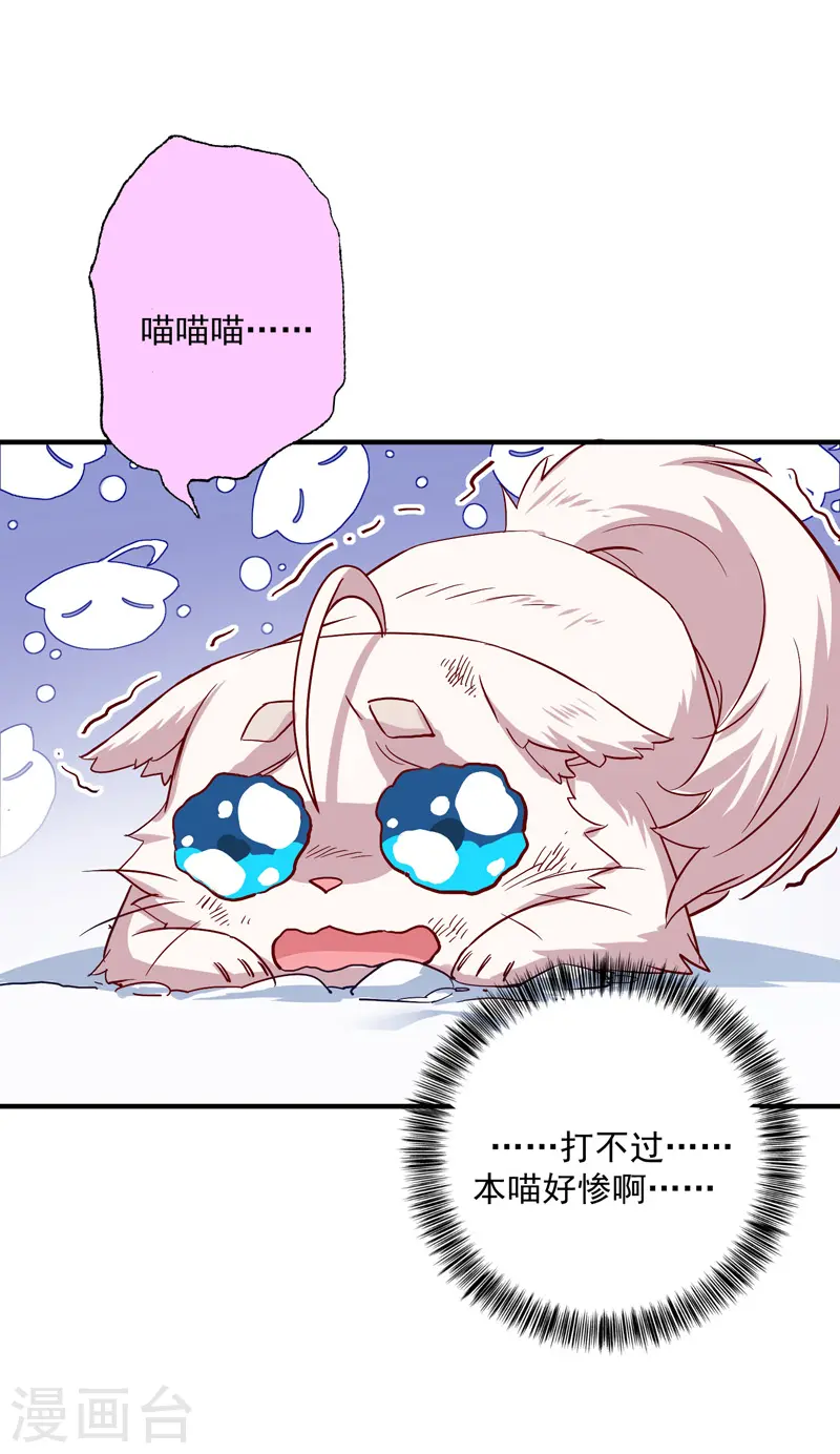 第50话 小猫化虎30