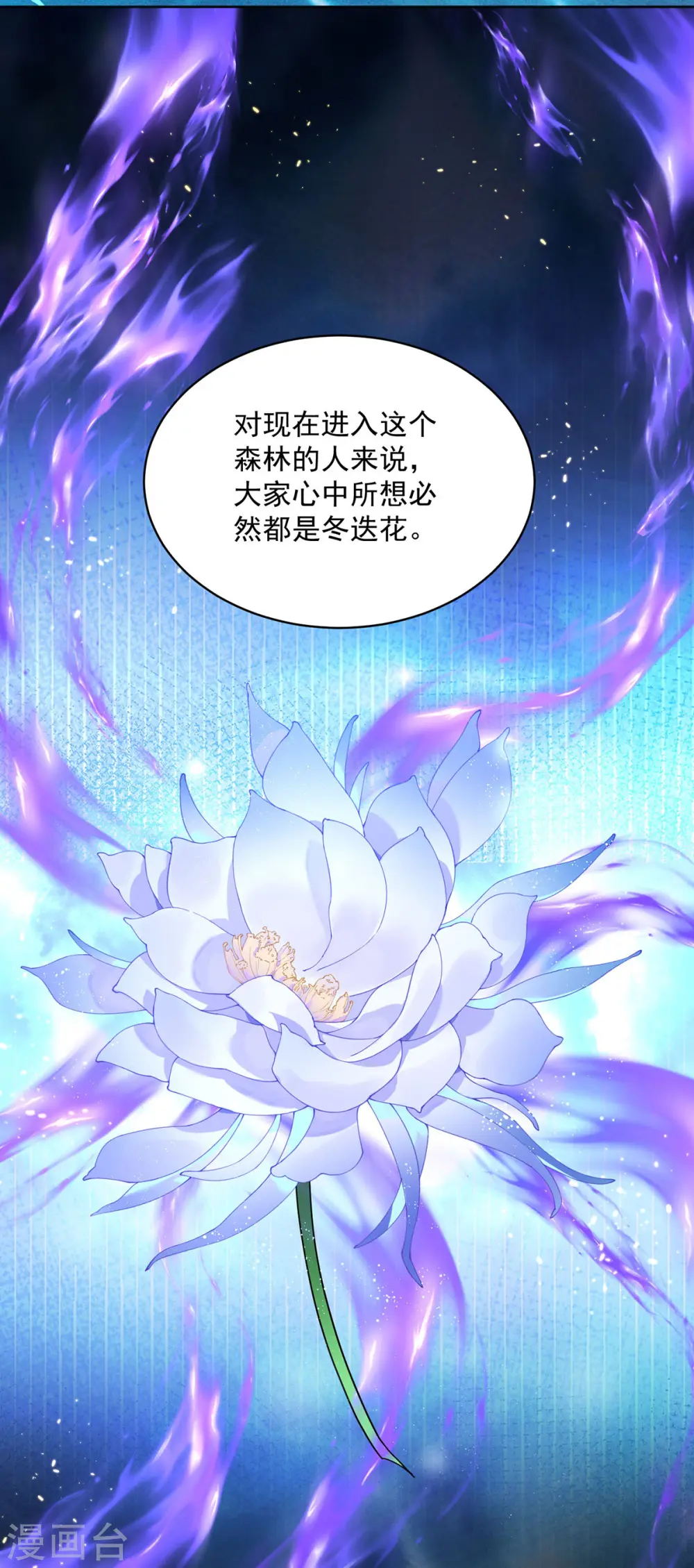 第204话 陷阱19