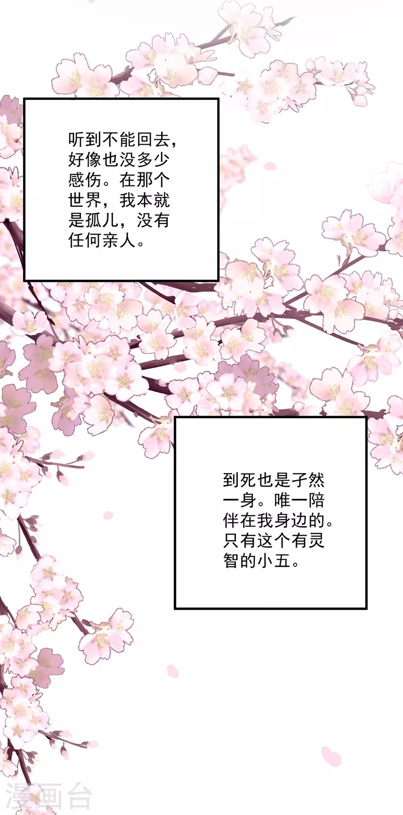 第14话 原主前生14