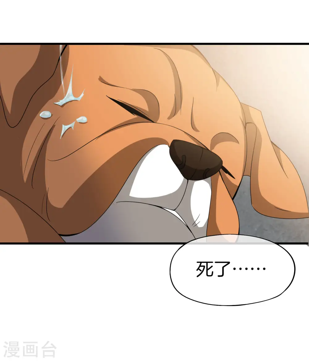 第20话 天下太平黑无常！13