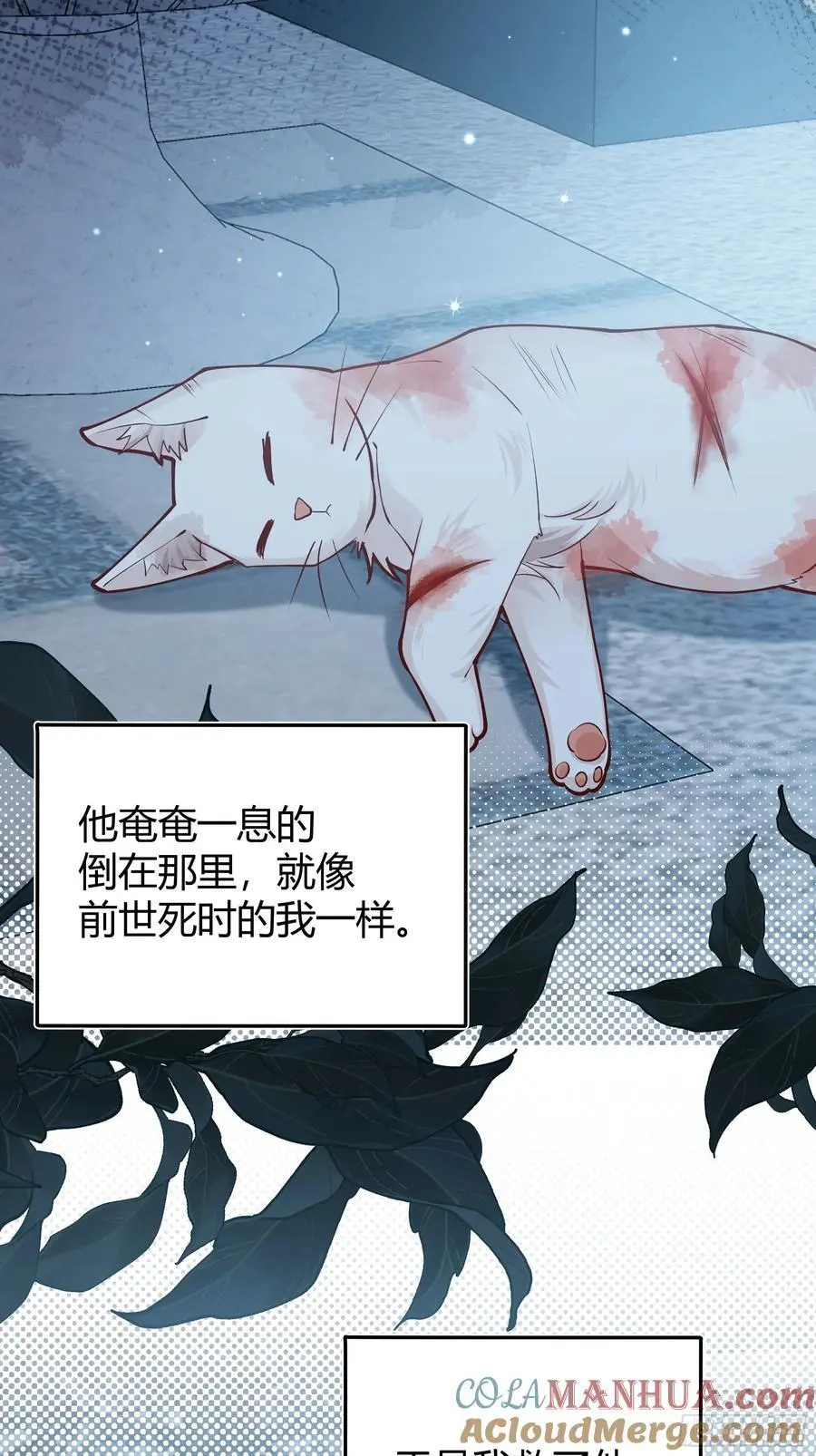 091猫24