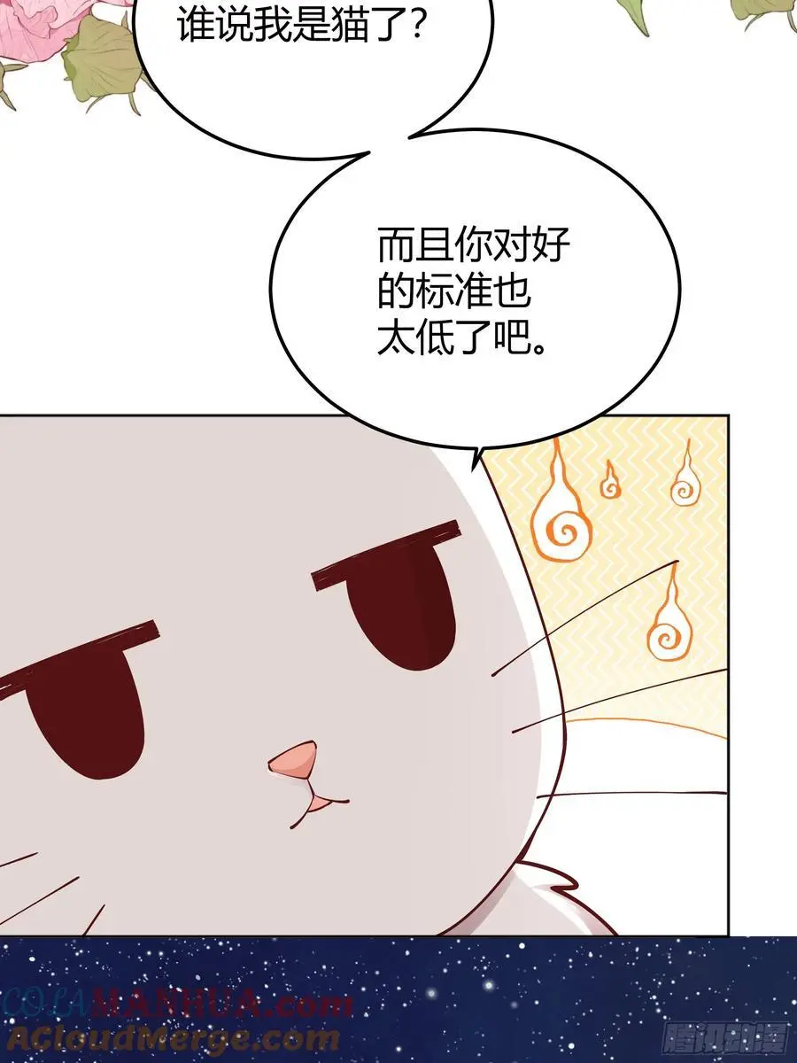 091猫33